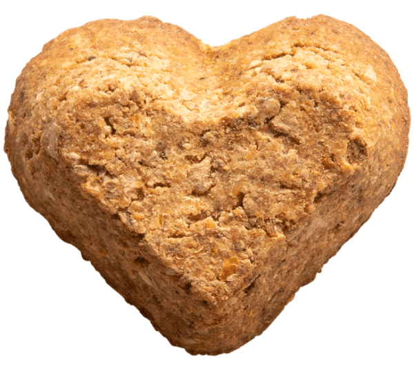 Soft Baked Dog Birthday Treats